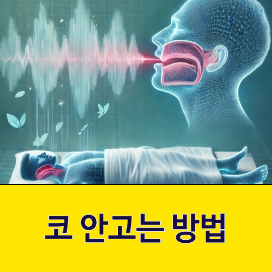 코 안고는 법, 자세, 예방법과 주의사항 총정리!