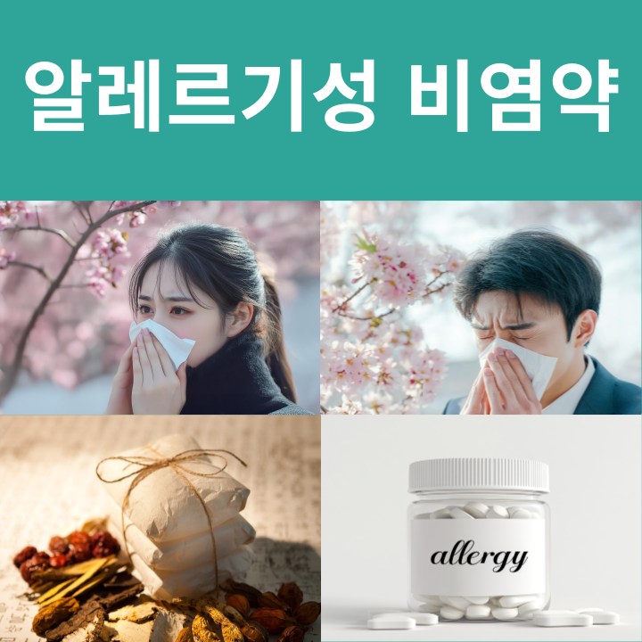 알레르기성 비염약 효과와 주의사항은?