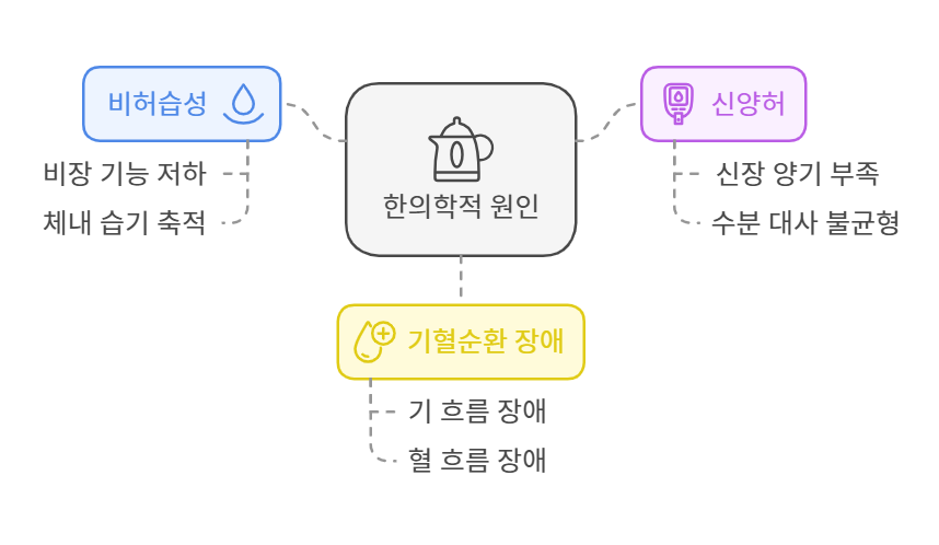 서울대입구역 한의원의 발부종과 부음, 원인과 치료법