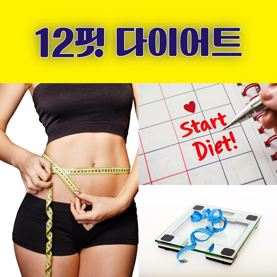 서울대입구 핏한의원의 12핏 다이어트란?